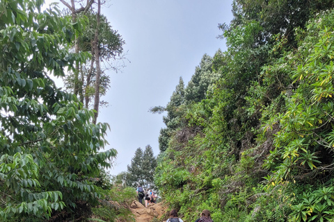 USAMBARA: 4-dagars vandringstur i Usambara-bergen