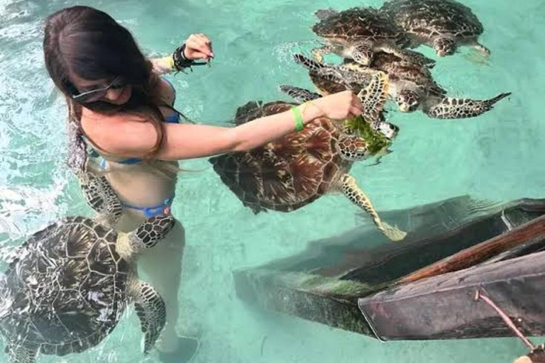 Spice Farm, Jozani Forest Red Colobus Monkeys & Salaam Cave Private Tour with Hotel Transfer (Entry Fees Not Included)