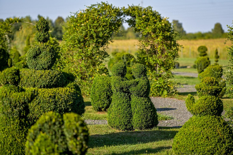 From Zagreb: baroque Varaždin, Aqua Iasae and Topiary park
