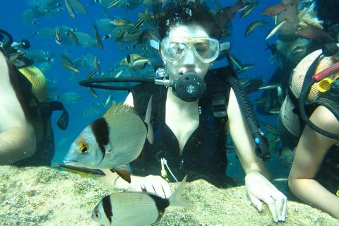 Antalya/Kemer: Scuba Diving Experience with Lunch & Pick up