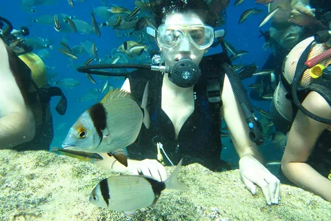 Antalya/Kemer: Nurkowanie z obiadem i odbiorem z lotniska