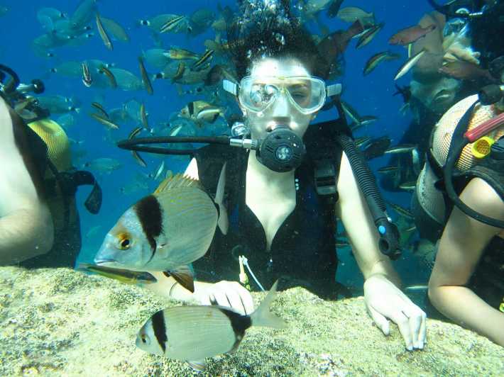 Antalya/Kemer: Scuba Diving Experience with Lunch & Pick up