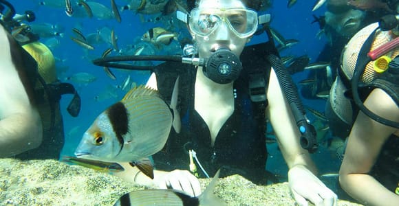 Antalya/Kemer: Scuba Diving Experience with Lunch & Pick up
