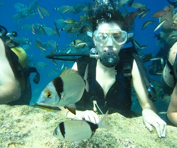 Antalya/Kemer: Duikervaring met lunch & ophaalservice