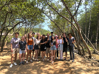 Erfahrung kann Gio Mangrove Eco Trek Adventure Day Reise - Housity