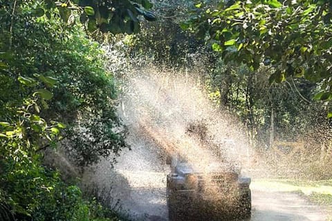 São Paulo: 4x4 Off-Road Adventure Tour in the Atlantic Rainforest