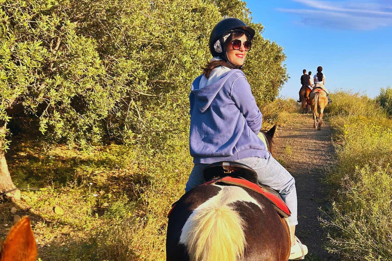 Catania: Guided Horseback Ride in Misterbianco Countryside