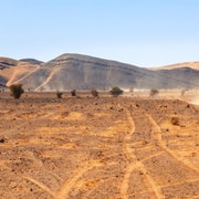 Marrakech Quad Biking and Camel Ride in the Agafay Desert