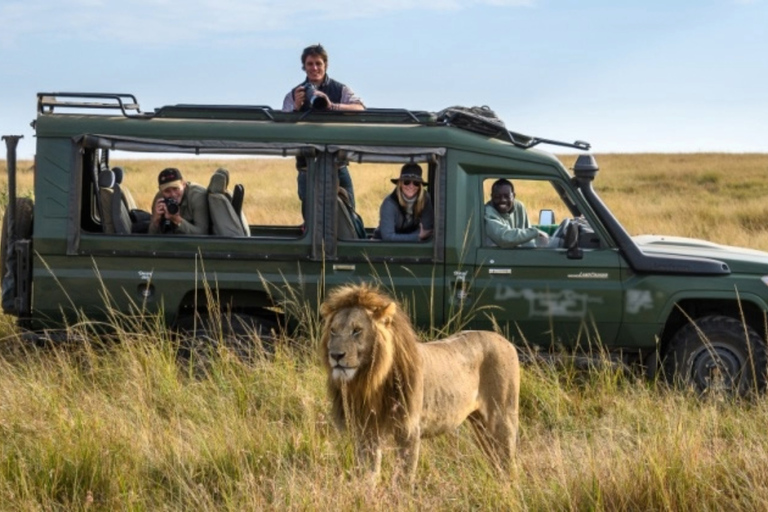 Quênia: 9 dias de Safari Masaai MaraQuênia: 9 dias de Safari Maasai Mara