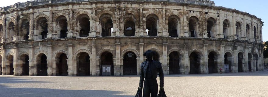 Nîmes : Visite guidée privée à pied