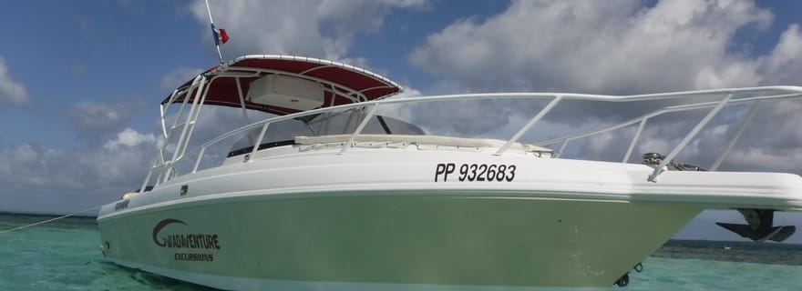 Guadeloupe : Excursion dans le Grand Cul de Sac Marin et la mangrove