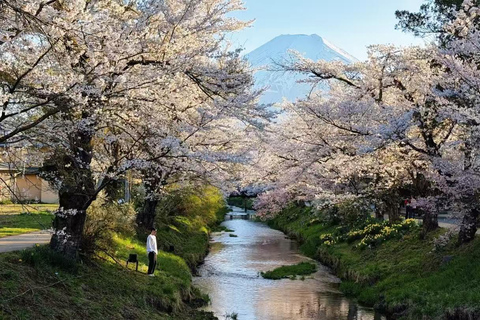 Shimizu, Shizuoka:Shore Excursion for Cruise Guests（Group）