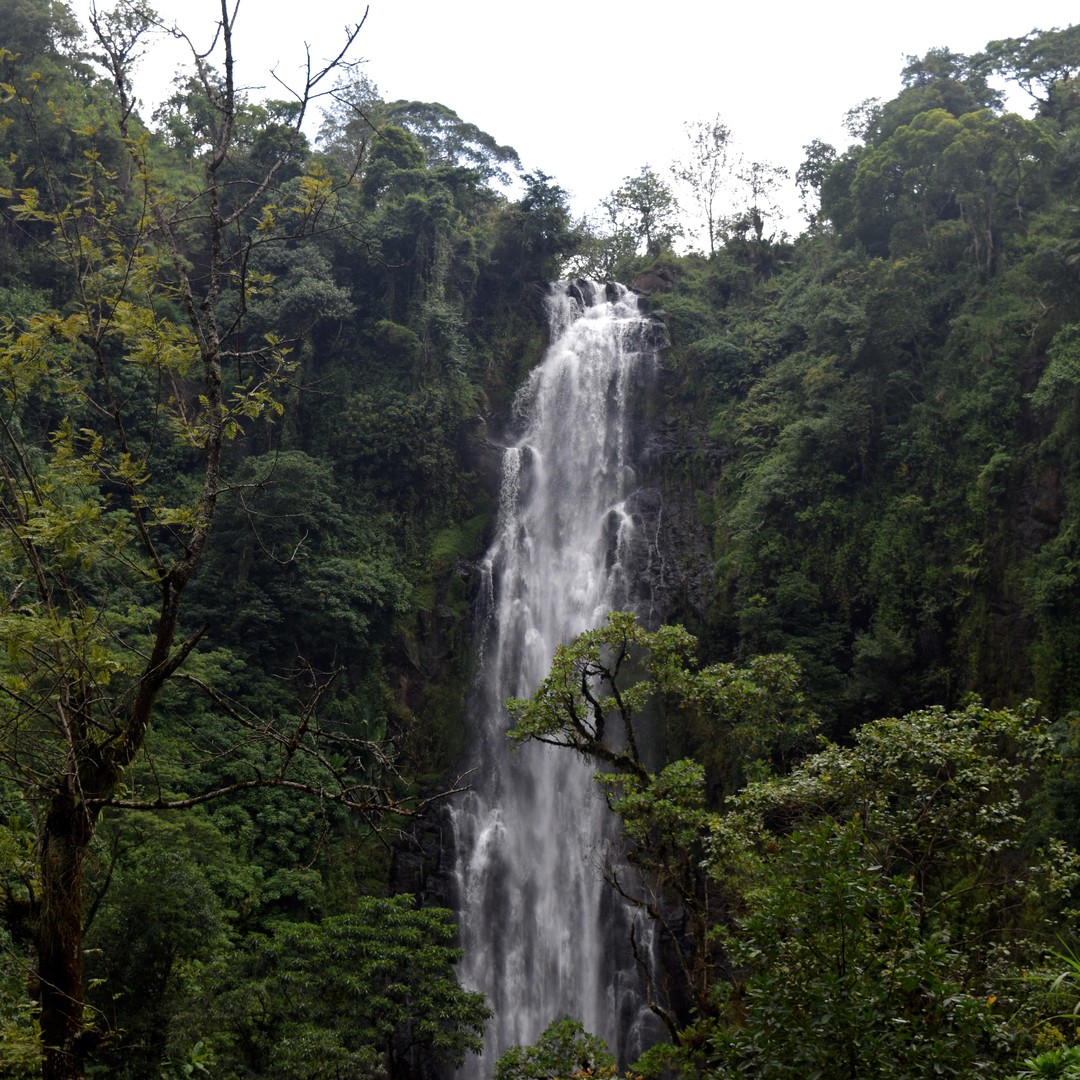 Colagem de mídia