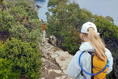 Au départ de Hobart : Visite à pied des trois caps - 4 joursSupplément pour personne seule