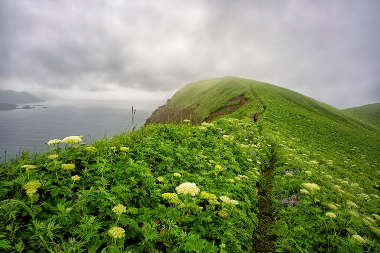 Hokkaido Swan Lake & Noboribetsu Hell Valley Private tour