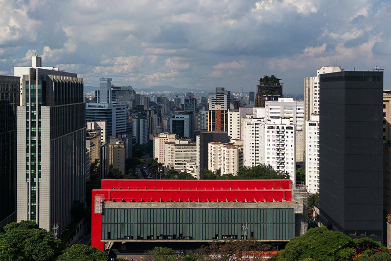São Paulo: MASP skip-the-line admission with guided tour