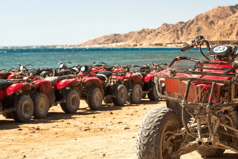 Sharm El Sheikh: Canyon, Blue Hole & Dahab Day Tour Blue Hole Explorer & Snorkeling Adventure