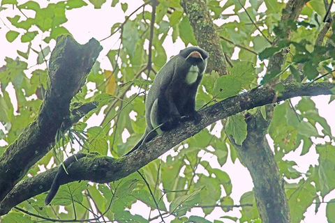 Chebera Churchura: Wildtiere &amp; malerische Ausblicke 4-tägige TourChebera Churchura: 4-tägige Tour mit Wildtieren und tollen Aussichten