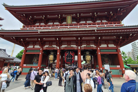 Tokyo One Day Customizable Trip With English speaking Driver