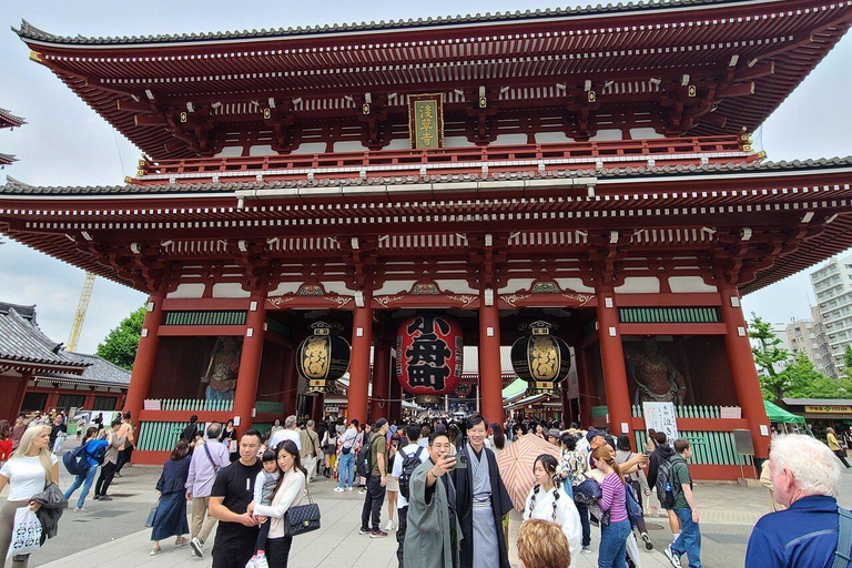 Tokyo One Day Customizable Trip With English speaking Driver