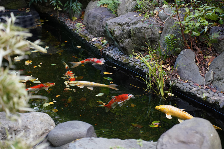 Tokyo: Private Calligraphy and Meditation with a Monk