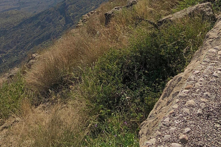 Excursión a Salalah Este: Experimenta la ciudad de Taqa y el estilo de vida de montaña