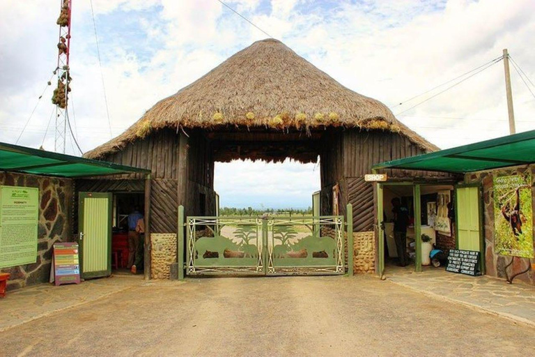 Depuis Nairobi : Excursion d&#039;une journée dans la réserve naturelle d&#039;Ol Pejeta