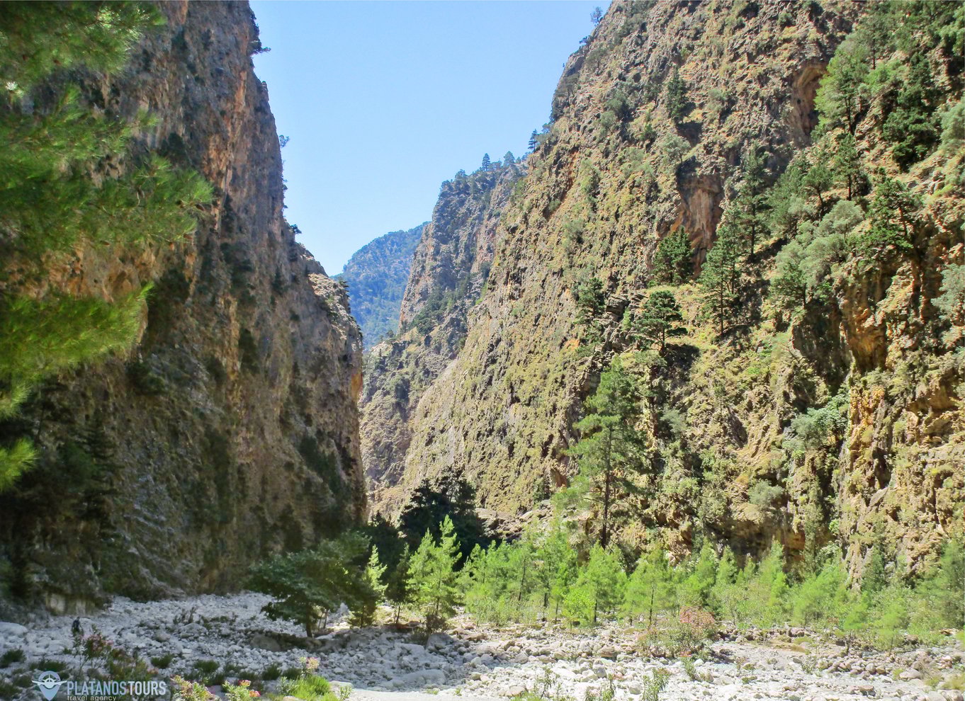 Fra Chania: Heldagsudflugt i Samaria-kløften med guide