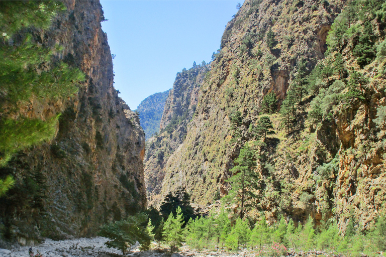 Gole di Samariá: escursione di un giorno con trekking da La CaneaDa Kalyves o Almyrida