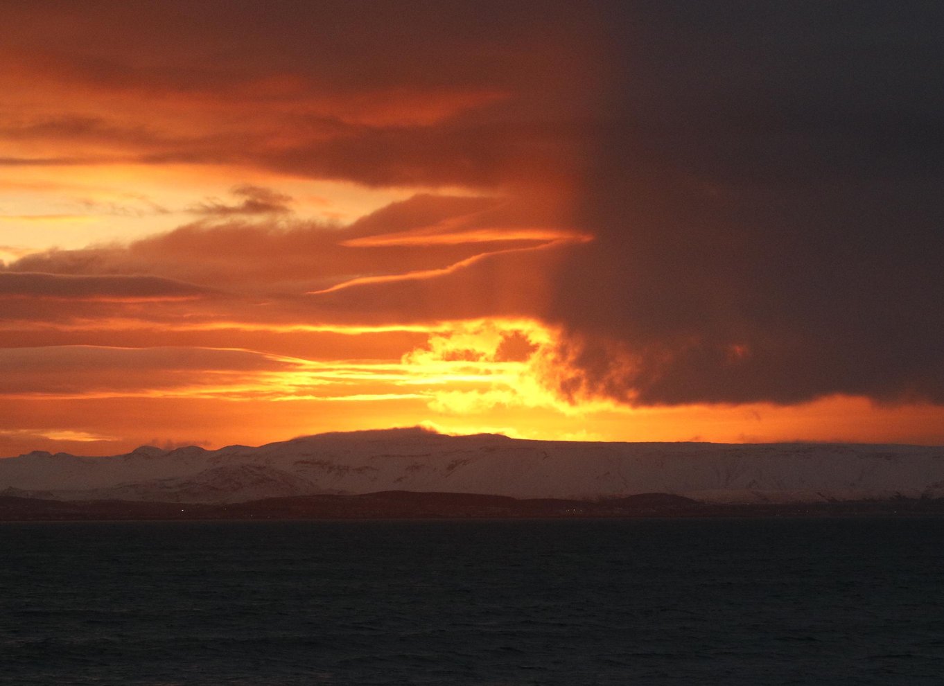 Reykjavik: Hvalsafari med midnatssol