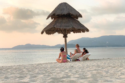 Koh Samui: Passeio de catamarã com velocidade para golfinhos e 3 ilhas