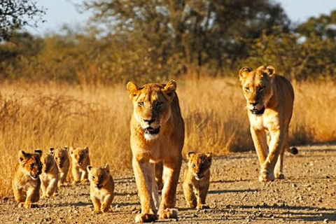 5-Day Murchison Falls Safari with Ziwa Rhinos