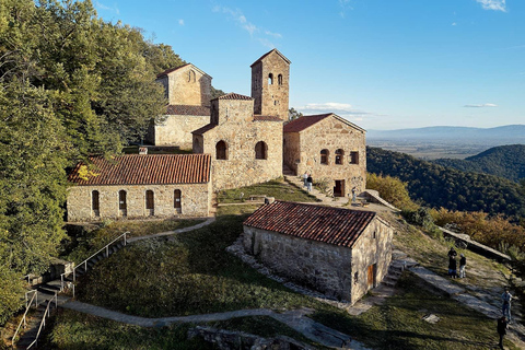 From Tbilisi: Kakheti Private Tour with Wine Tasting