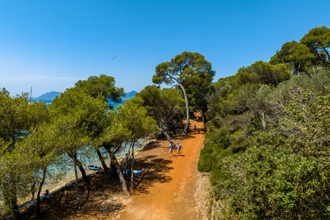 Fährentransfer zur Insel Sainte-Marguerite ab NizzaFährüberfahrt zur Insel Sainte Marguerite von Nizza