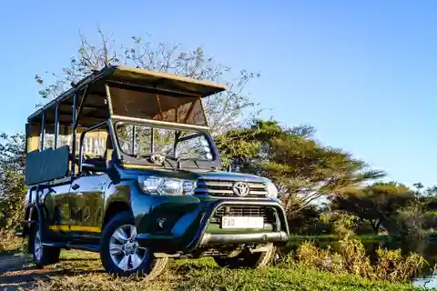 Från Hoedspruit: Kruger National Park Full-Day Safari