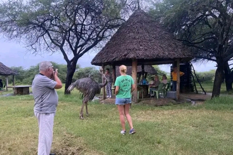 Mombasa: Half-Day Haller Park Giraffes Feeding Experience