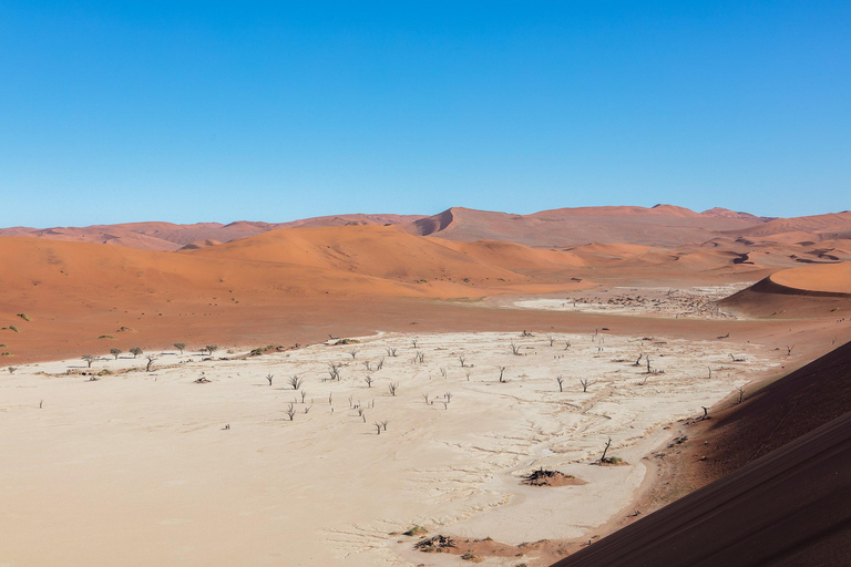 10 Days Beauty of Namibia | Guided Camping