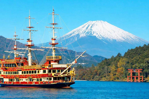From Tokyo : Mount Fuji Private Day Trip with Hotel Pickup Mount Fuji & Hakone Customize Tour With English Guide