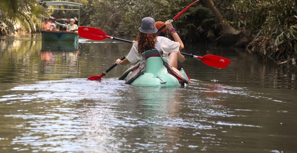 Quepos: Kayak Tour in the Mangroves Near Manuel Antonio Park