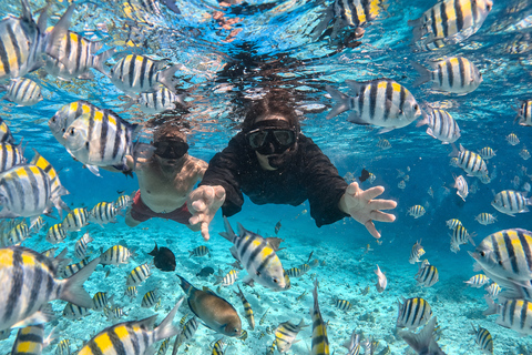 From Gili Air: Snorkelling Trip with Turtles, Statue & GoPro From Gili Air: Shared Snorkeling with Turtles, Statue &GoPro