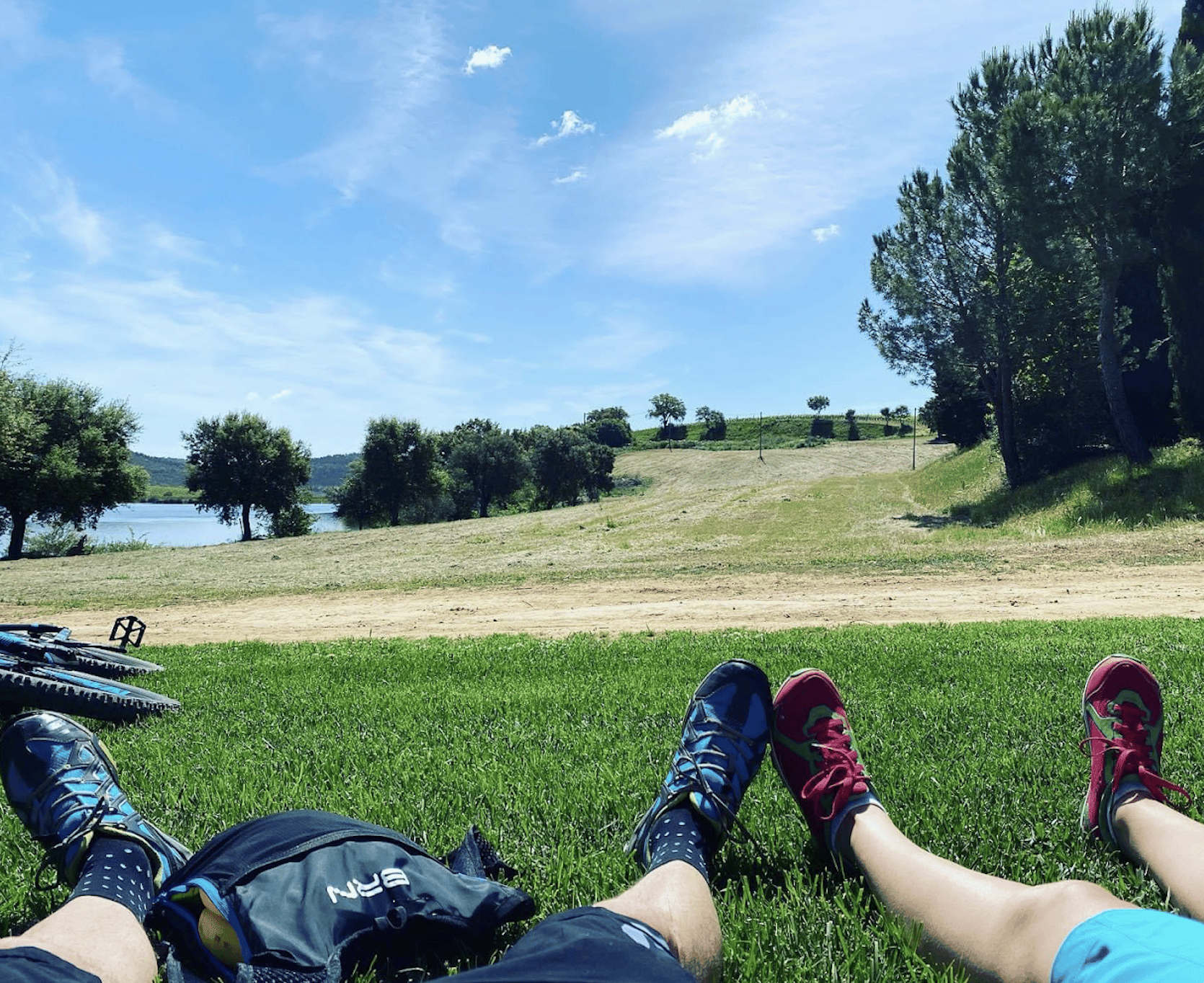 Maremma: E-Bike-Tour durch Weinberge und Weingüter