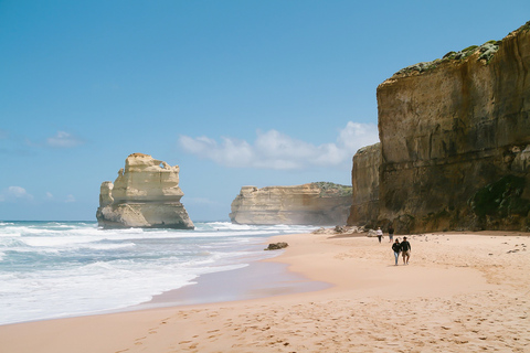 Z Melbourne: Całodniowa wycieczka z przewodnikiem Great Ocean RoadZ Melbourne: Great Ocean Road – cały dzień z przewodnikiem