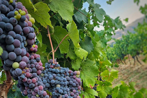 Vlore: Berat Day Trip with Wine Tasting Experience Vlore: Private Berat Day Trip with Wine Tasting Experience