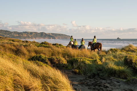 Muriwai Beach 2-Hour Horse Trek Experience