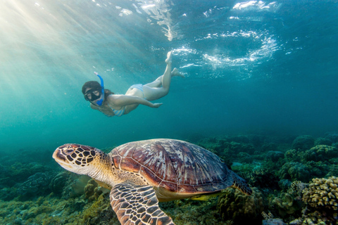 From Bali: Nusa Penida Snorkeling and Sightseeing Day Trip