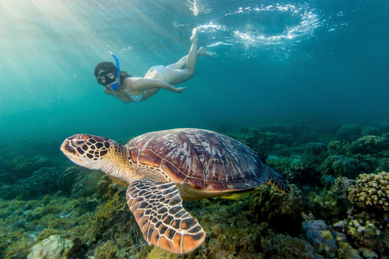 From Bali: Nusa Penida Snorkeling and Sightseeing Day Trip
