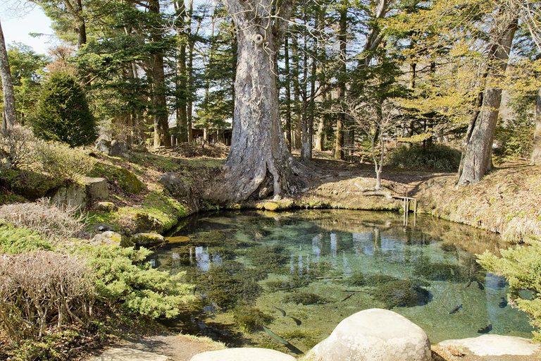 Von Tokio aus: Private Tagestour zum Berg Fuji und nach Hakone