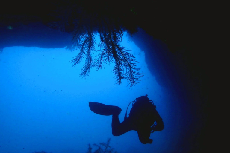 São Jorge: Buceo - 2 Inmersiones (Medio Día)