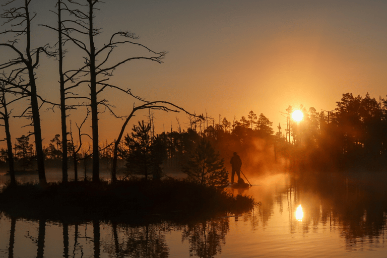 From Riga: Sunrise SUP Tour with Pick-Up at Cenas Tīrelis