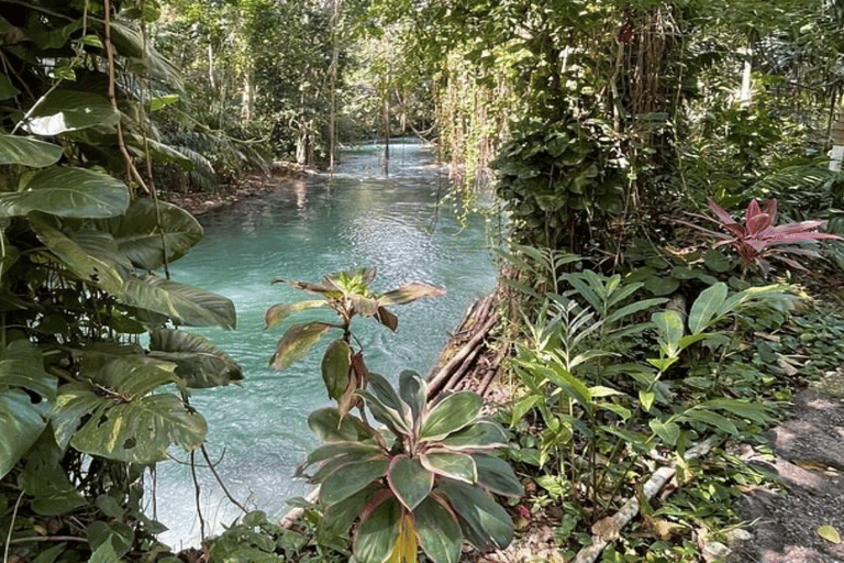 Martha Brae Bamboo Rafting Tour From Montego Bay